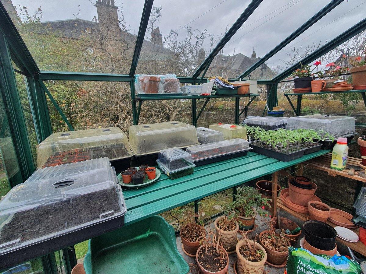 Leigh Sparks tweet media