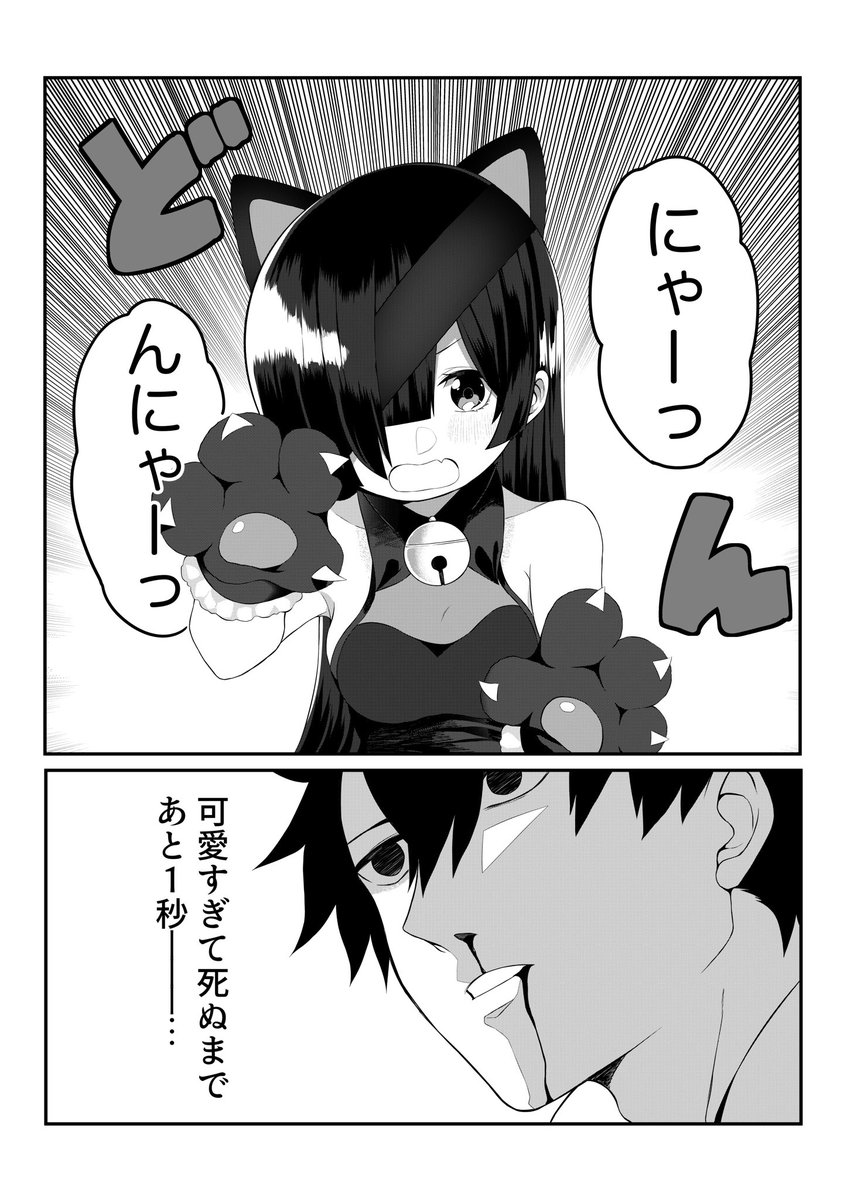 パライソちゃんが猫になってしもうた 