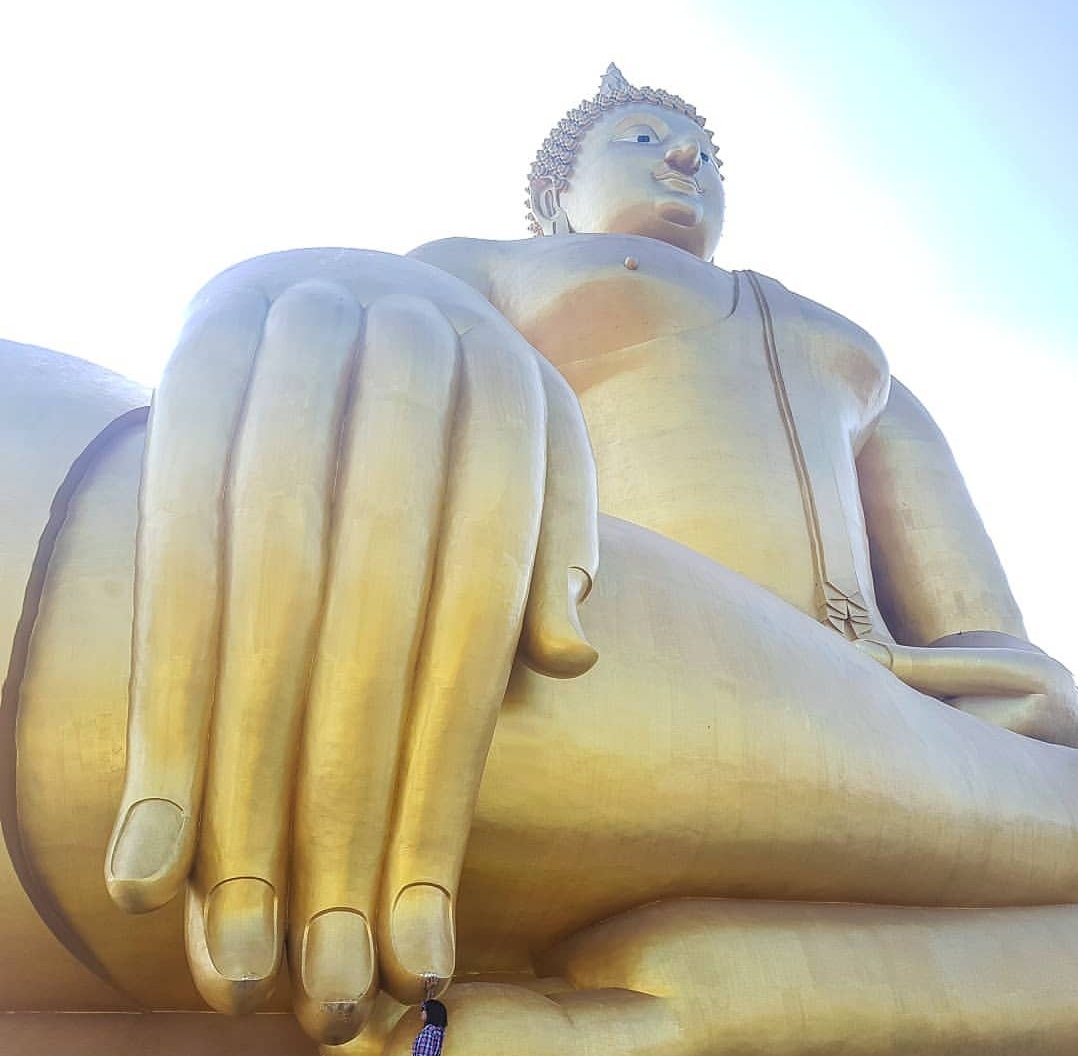 amazing__sea's tweet photo. #virtualthailand
#watmuang #angthong #buddha #bigbuddha #amazingthailand https://t.co/qVeXOQfvXo