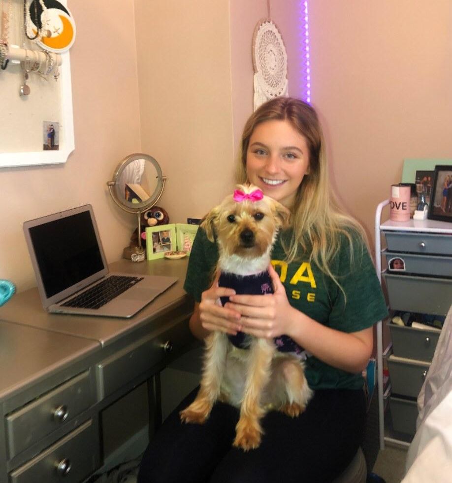 OLMA_NJ's tweet photo. In this week's #OLMAOverview, read about our all-school virtual assembly, how students are making a difference, and how teachers are keeping students on track and in good spirits. #OLMAOnline #OLMACares #CharitableChallenge #SeeTheGood #Sisterhood https://t.co/BghxVoMGcK https://t.co/B5r265mle1