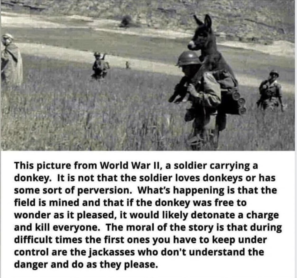 Pier Barattolo tweet media