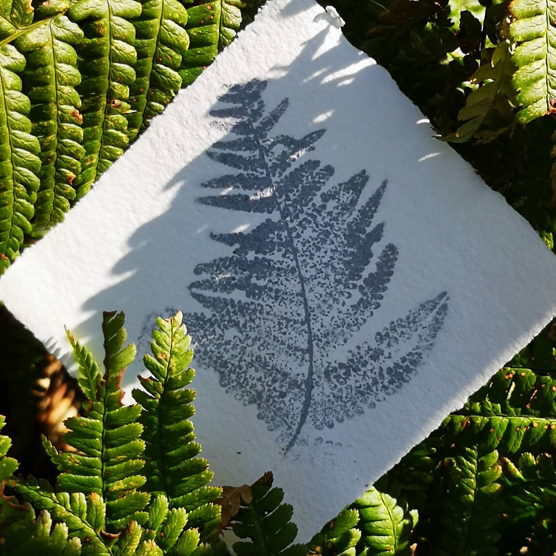 LynnBaileyPrint's tweet photo. Test prints for my lock-down situation. Limited material, very limited equipment & only have silver ink! #GottaPrintThroughThis #mylocality #preciousweed #monoprint #vintagepaper #barchamgreen #creativelockdown #hyperlocal #localeco https://t.co/DpBFHqvd8I
