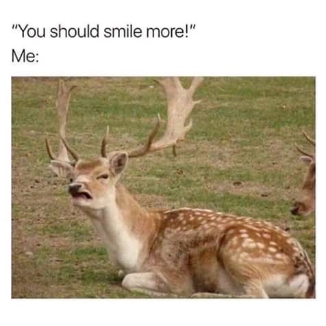 AndyLa's tweet photo. 😫😫😫😫😹😹😹💔⚰️ https://t.co/zoZu6oQtVW