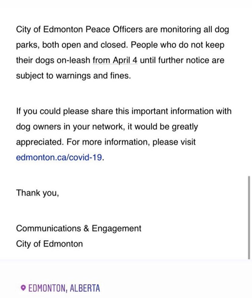 BarkBusterGuys's tweet photo. Edmonton Dog Owners🐾🐾🐾🐾🐾.  Please keep your dogs on leash until further notice.  #yegcares #yegdogs #safetyfirst #flattenthecurve City of Edmonton https://t.co/fCkyNoQn5P