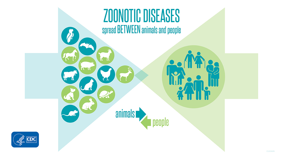 CDCGlobal's tweet photo. Scientists estimate that 3 out of every 4 new or emerging infectious diseases in people are zoonotic (they can spread between animals and people). Learn more about zoonotic diseases and what you can do to protect yourself and your family: https://t.co/HK7C2Ceb1M https://t.co/Pw1QMsYHdx
