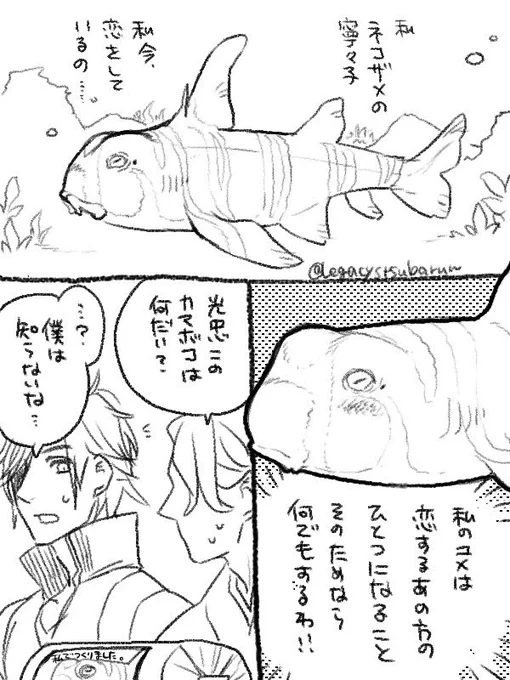 燭サメ 