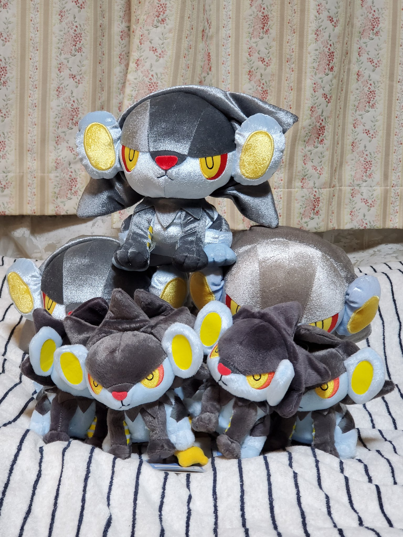 どらっち 1987年から ドララーやってます 笑 かなり昔のレントラーぬいぐるみ と ポケモンgoの子w レントラーの日 T Co Xu3p2rhdvd Twitter