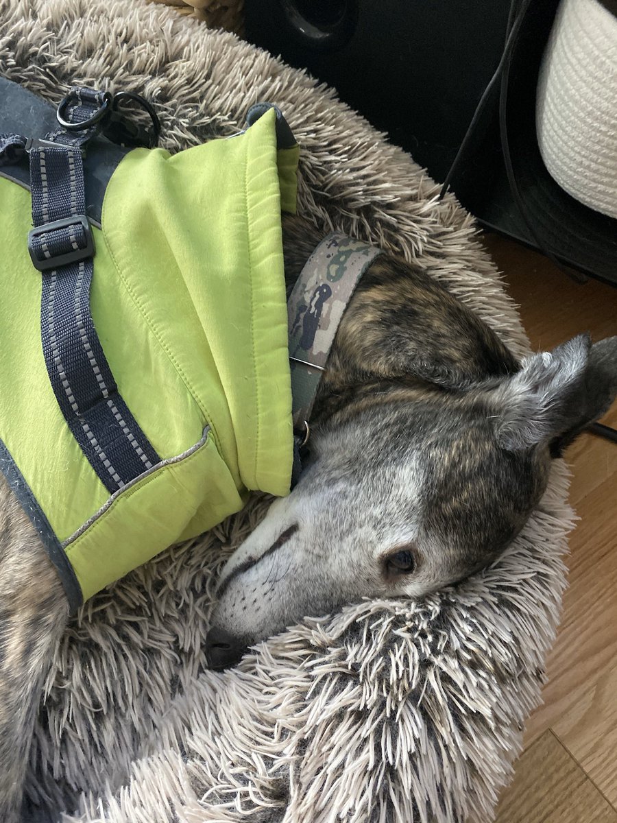 John Doe tweet media