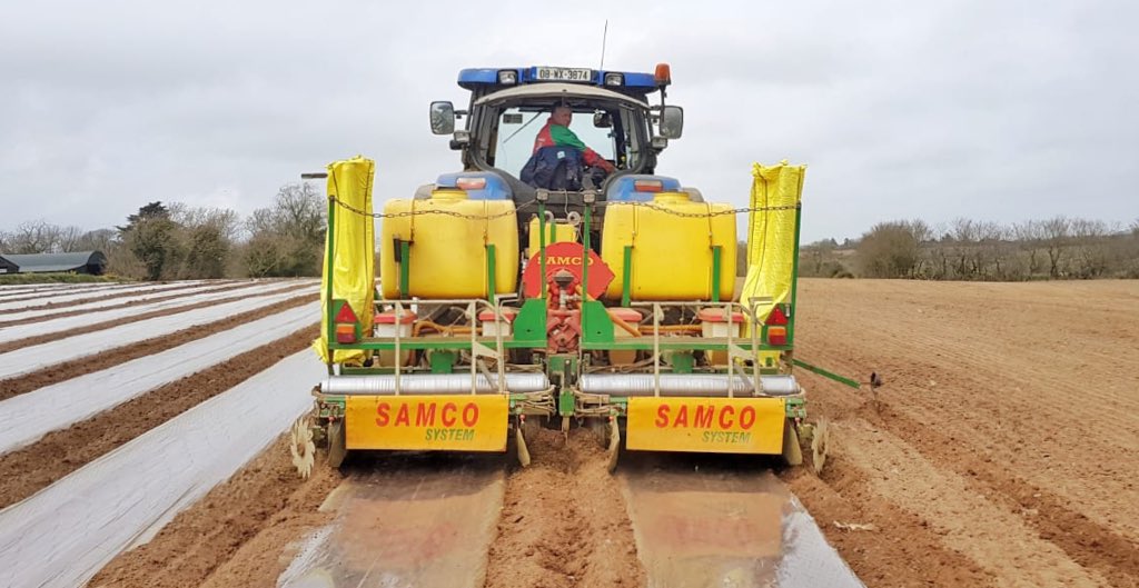 Decbuttle's tweet photo. Maize is a go! We all hope by the time this is harvested the country will be in full health. @Maizetechltd @AgrilandIreland @samcosystem https://t.co/pbFPSePYur