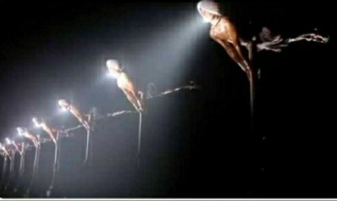 sanskari_memes7's tweet photo. people on 5th April at 9pm
#modivideomassage https://t.co/wUrn0QrYEv
