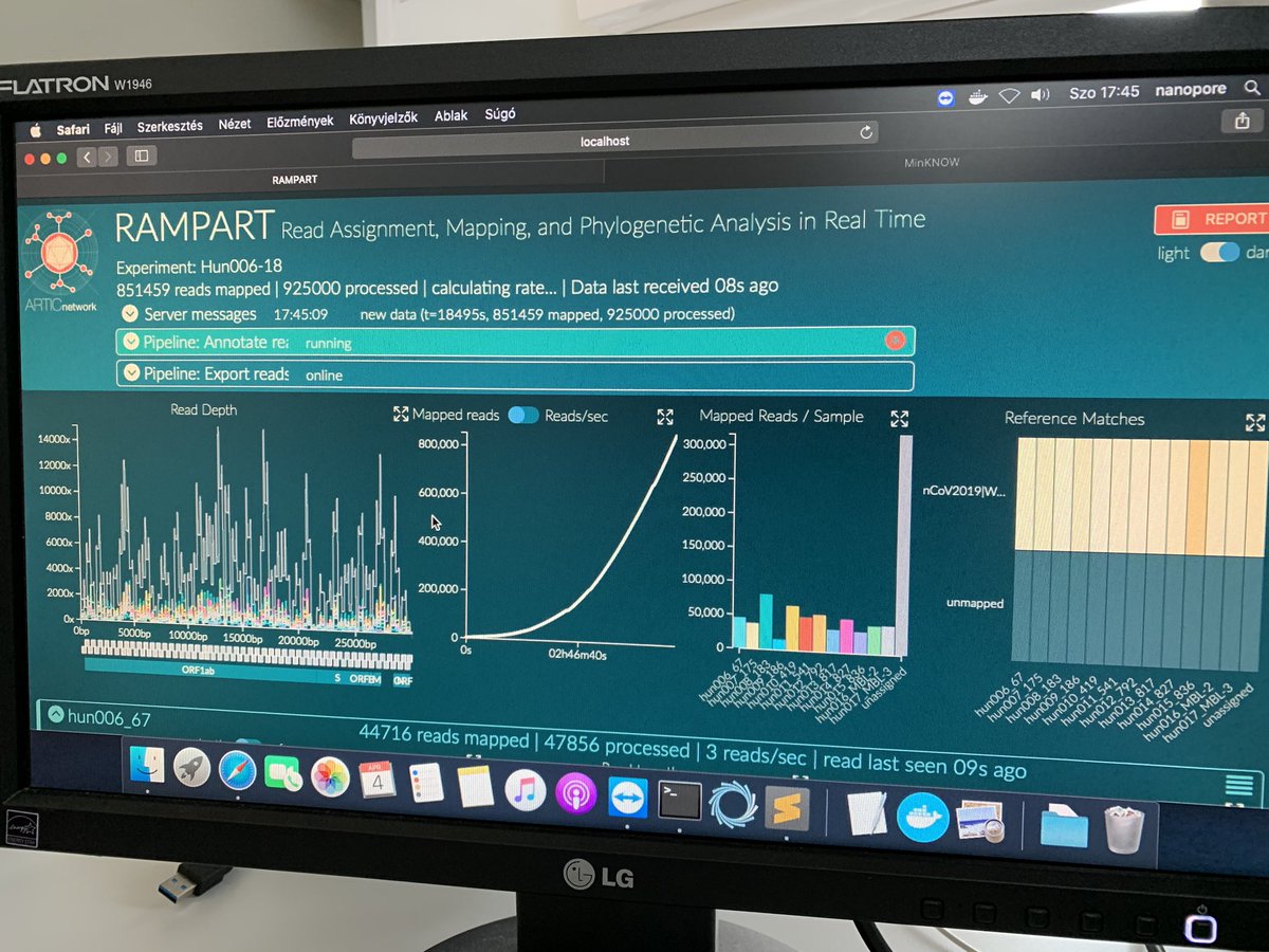 GaborKemenesi's tweet photo. More and more Hungarian sequences are on the way! @nanopore @NetworkArtic #coronavirus #SARS_COV_2 #COVID2019  @nextstrain https://t.co/x3uScOD1N3