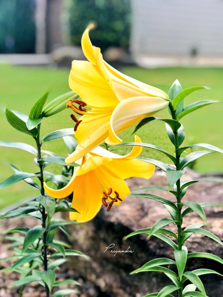 hey_iampriyanka's tweet image. 📸 To make quarantine time interesting I'm trying to learn 3D photography at home. It's totally mind blowing.

#StayHomeStaySmart 
#KodakHDLEDTV #Android9 
#ContestAlert #ContestAlertIndia 
@kodaktvindia 

Join guys
@inakbar 
@rehanak55 
@blessedkamal