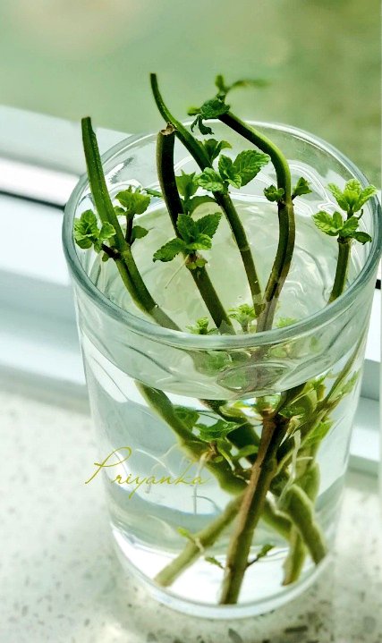 hey_iampriyanka's tweet image. 📸 To make quarantine time interesting I'm trying to learn 3D photography at home. It's totally mind blowing.

#StayHomeStaySmart 
#KodakHDLEDTV #Android9 
#ContestAlert #ContestAlertIndia 
@kodaktvindia 

Join guys
@inakbar 
@rehanak55 
@blessedkamal