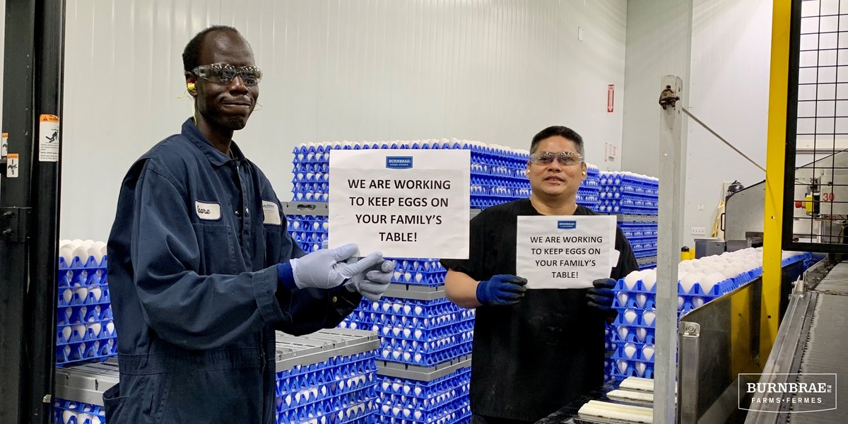 BurnbraeFarms's tweet photo. We are incredibly proud of our colleagues and would like to thank them for their dedication and effort during these trying circumstances #TogetherWeCanDoIt. We are #StrongerTogether please join us in saying thank you for their incredible efforts. https://t.co/NnvxdrF1Hc