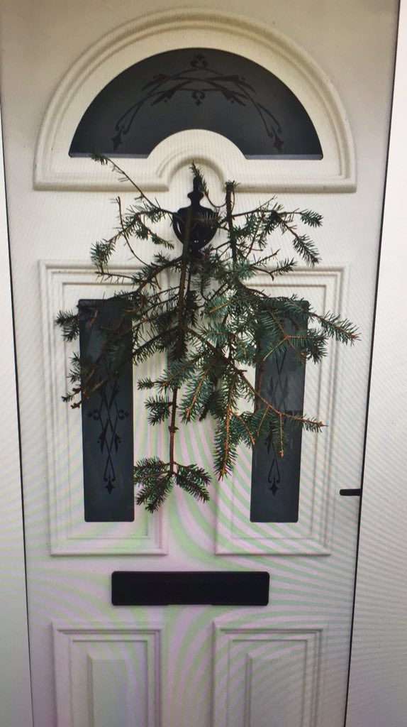 re_cbsomagh's tweet image. As we approach the beginning of  Holy Week tomorrow with the celebration of Palm Sunday, let us unite as a family of faith. Place a branch on your door or window and send your photos to our FB /Twitter page so we can all unite together.  Some excellent examples so far! @cbsomagh