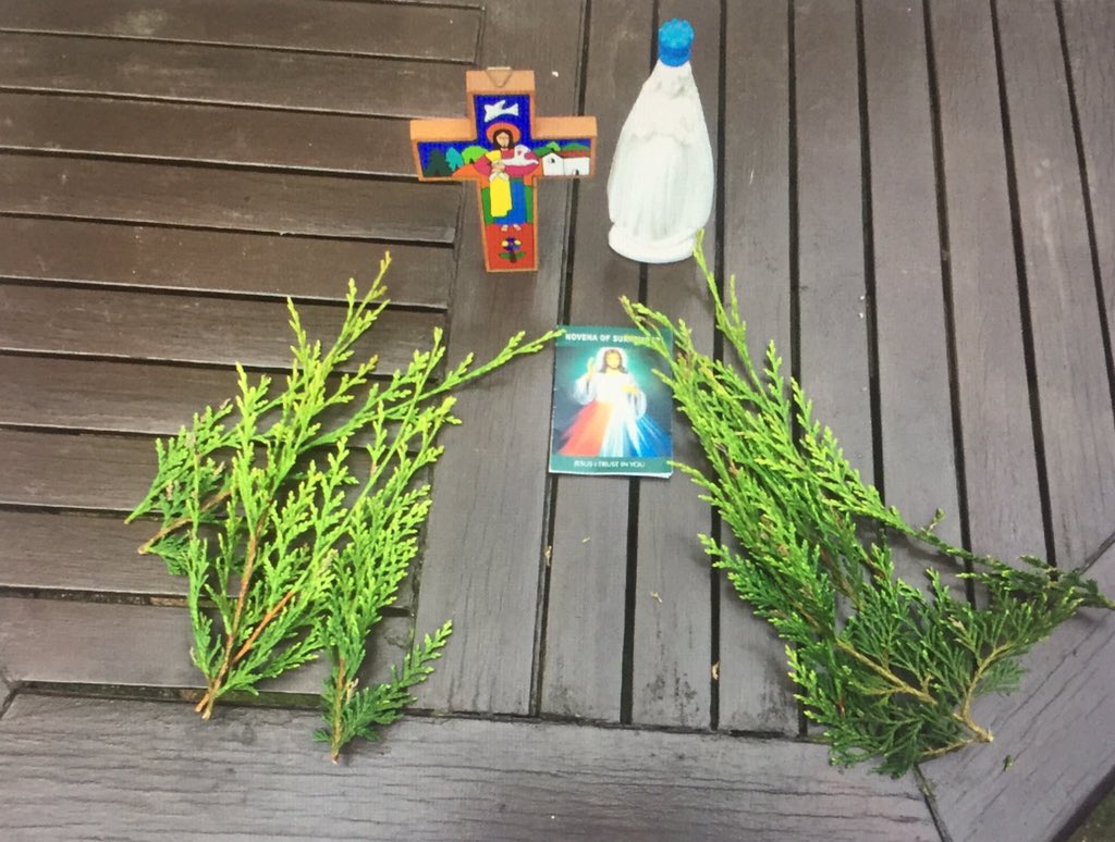 re_cbsomagh's tweet image. As we approach the beginning of  Holy Week tomorrow with the celebration of Palm Sunday, let us unite as a family of faith. Place a branch on your door or window and send your photos to our FB /Twitter page so we can all unite together.  Some excellent examples so far! @cbsomagh