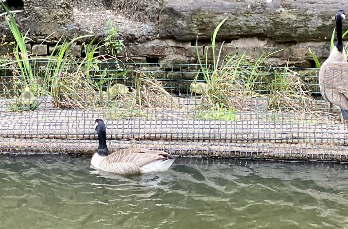 Tom Bloxham tweet media