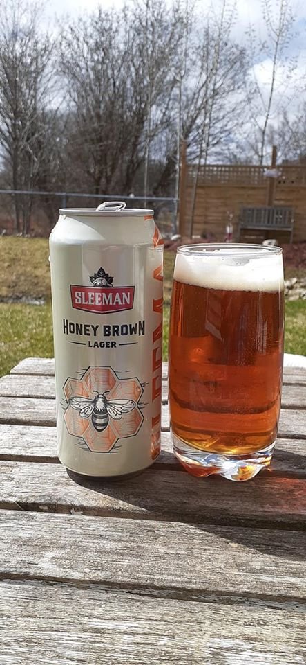 Kevin Kingsley tweet media