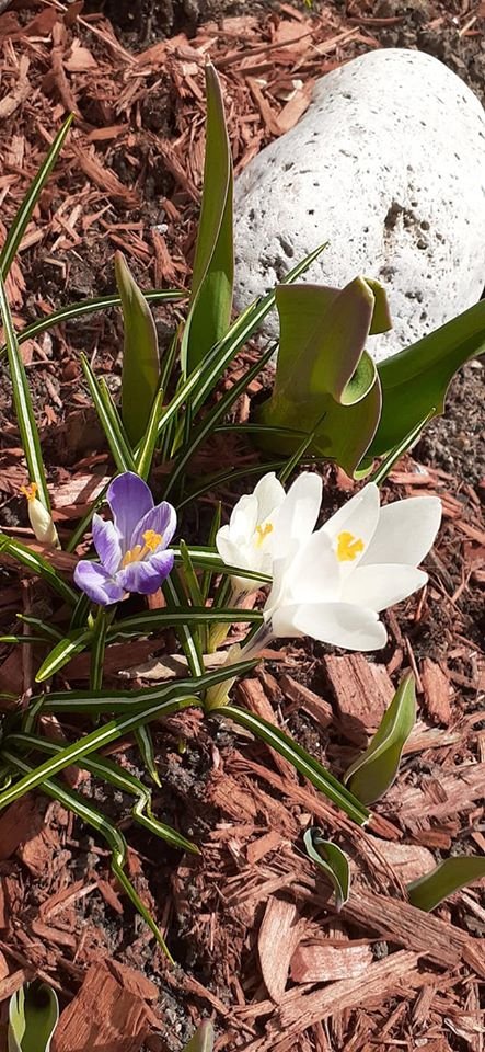 Kevin Kingsley tweet media