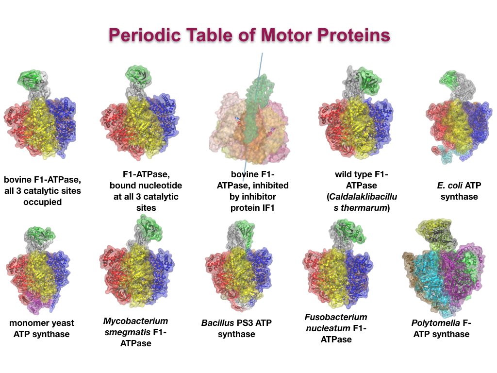 Group scores at @NSFGRFP with <a href="/JhnVant/">John Vant</a> scoring first big fellowship for making "The Periodic Table of Molecular Motors". Exciting times for big computations ! <a href="/ASUBiodesign/">Biodesign Institute at Arizona State University</a> <a href="/ASU/">Arizona State University</a> @ASUChemistry <a href="/OLCFGOV/">OLCF</a>