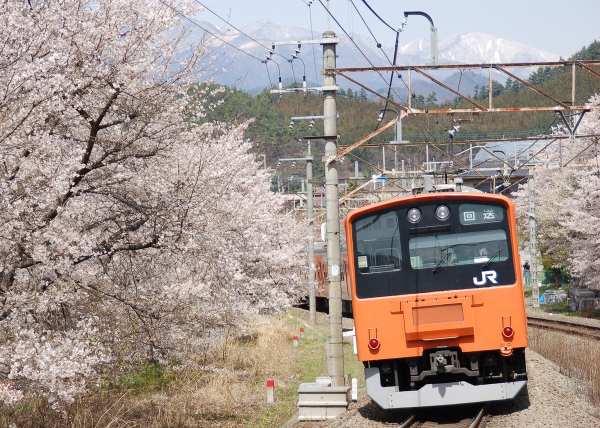 Unatrain's tweet photo. #201系 #桜 https://t.co/K9Oy6NluDE