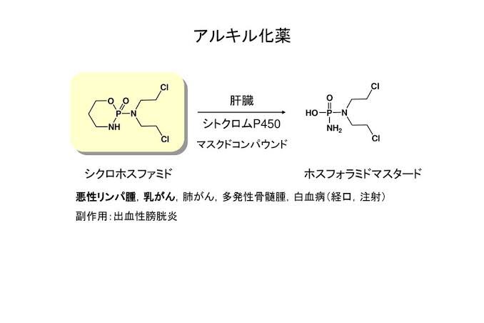 ジェン マスタード ナイトロ 文部科学省 次世代がん研究シーズ戦略的育成プログラム