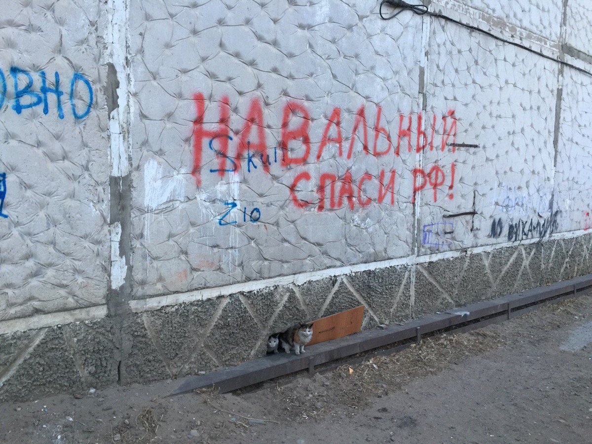 KamilaRise tweet picture