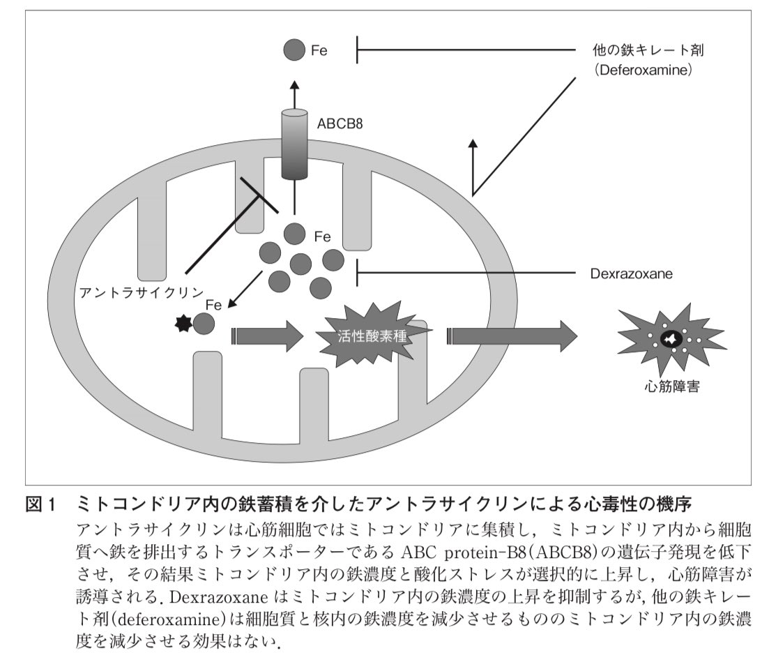 医師国家試験クイズくん on Twitter