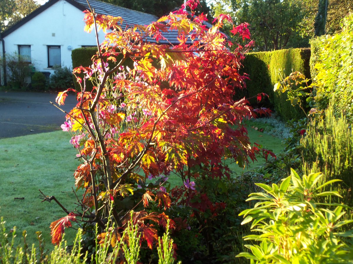 StanLeigh18's tweet photo. #Papcastle in recent years -
- 2012 #Excavation - Discovering #Derventio - read more via https://t.co/otRr4Ez0Mt
- splash of #Autumn colour
- Village view
@FeatureCumbria @CumberlandPics @TMaryporters https://t.co/SUdmsaNNJP