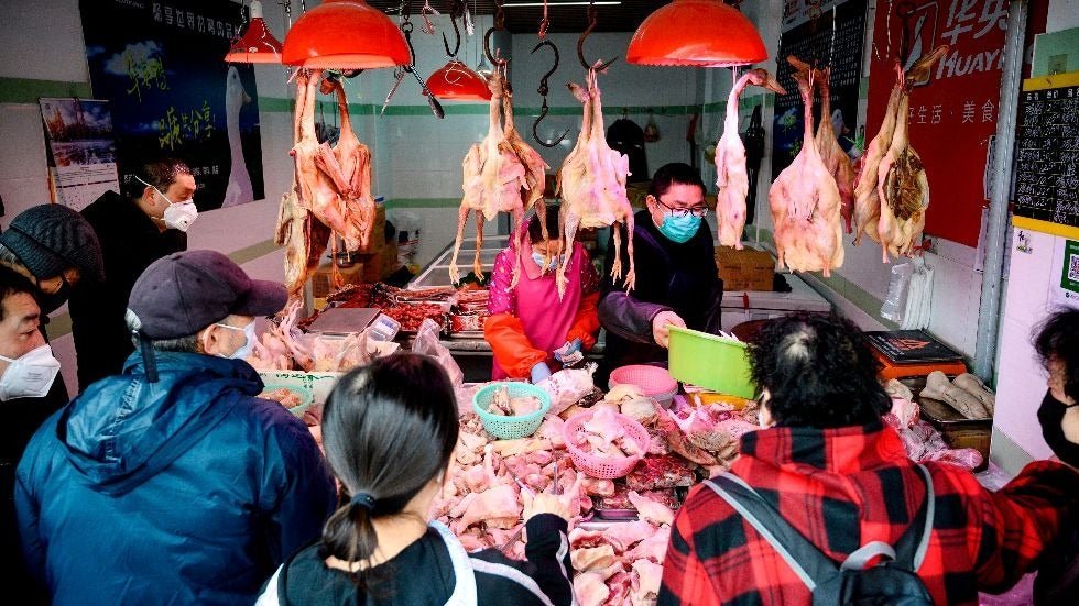 hilltopgina's tweet photo. Question: Who is surprised by this pandemic?
I'm not.
When you deal in the mass execution of sentient beings globally it will keep happening. Please look at the reasons for Covid19, SARS, swine flu, CJD etc etc.
We must #EndSpeciesism & #govegan #crueltyfree #COVID2019 https://t.co/e2Hxvn7RGH