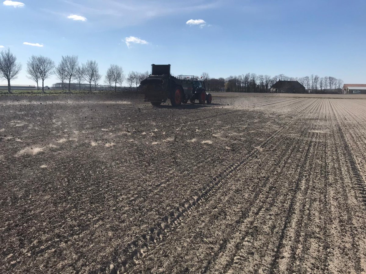 bart_loon's tweet image. Als ik niet thuis ben houd de jeugd de loonwerkers in de gaten die de compost over de uien komen strooien. de landbouw school gaat gewoon alle dagen door 😀 mooi strooiwerk @markvanEssen1 en @Patrickackeren