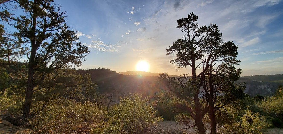 LAWGA's tweet image. #MadeWithUdacity