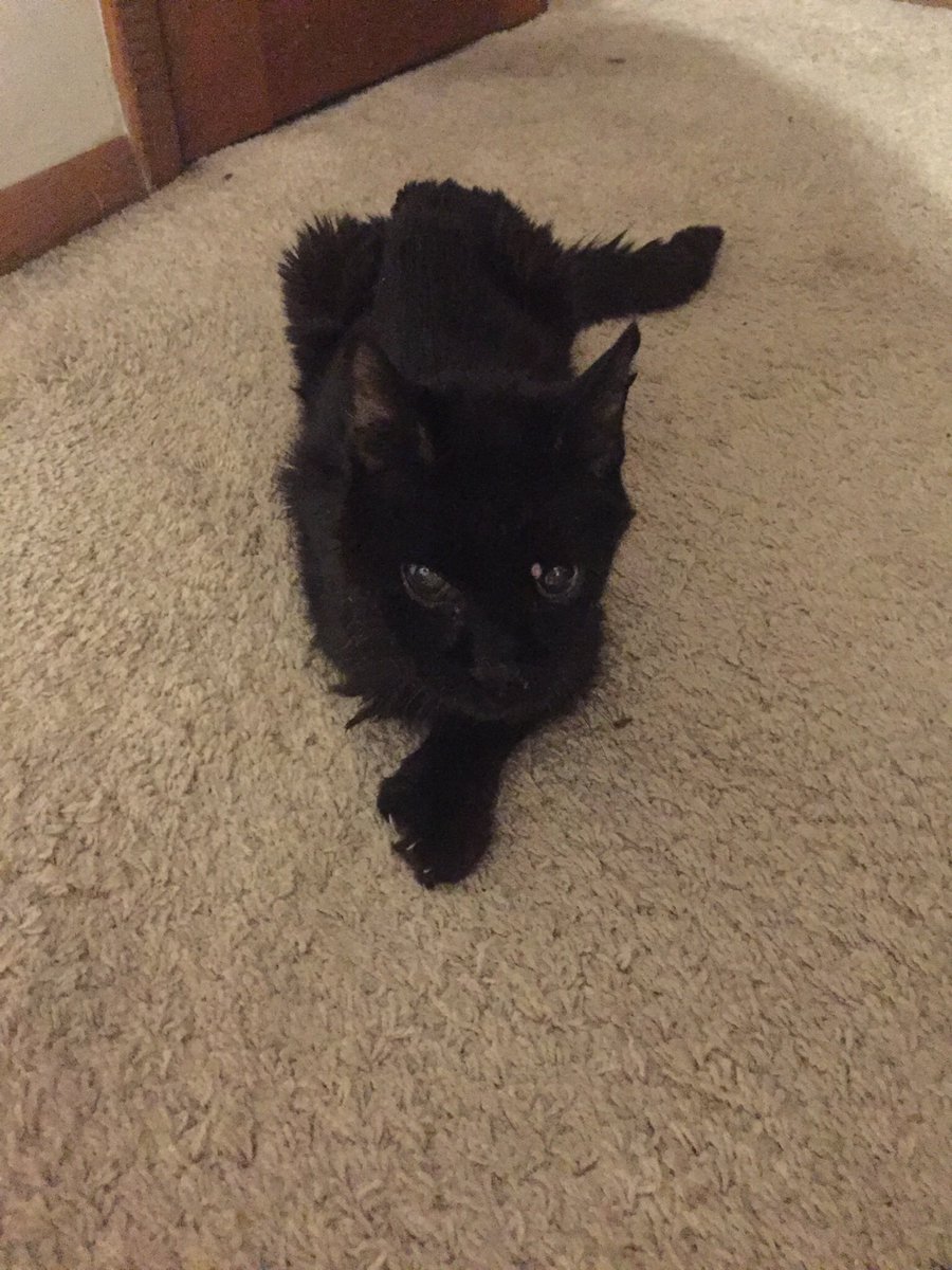 Dana slade☮️ tweet media