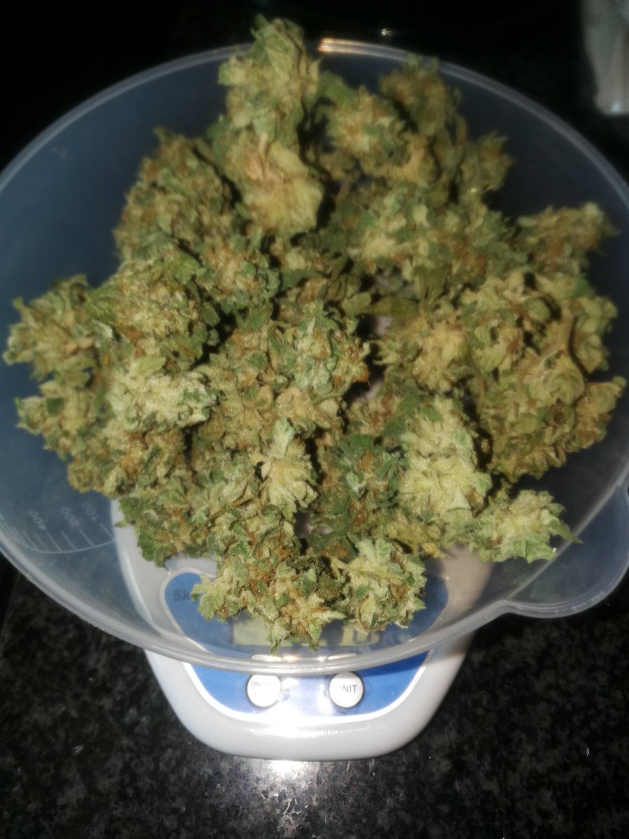 Kushpreneur's tweet photo. Happy 420²
#CannabisCommunity #High1's #Mmemberville https://t.co/WHHE1xgAxT