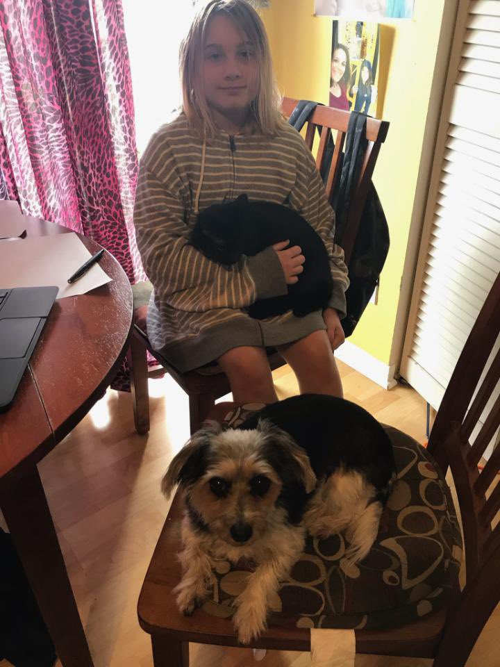 Liberty Park (@libertyparkel) on Twitter photo Bring your pet to school day in Mrs. Knopick’s class! 🐶 🐱 🐠<a href="/pbcsd/">The School District of Palm Beach County</a> Bring your pet to school day in Mrs. Knopick’s class! 🐶 🐱 🐠<a href="/pbcsd/">The School District of Palm Beach County</a>