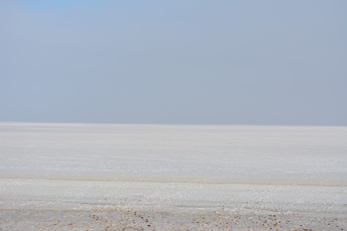 Rann of Kutch. On the way to Dholavira.