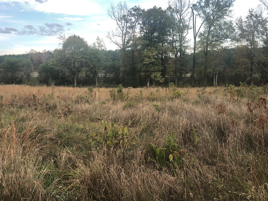 jscauthen's tweet photo. Kessinger Real Estate 662-234-5555 I am looking for a buyer on tbd Hwy 6 East #Oxford #MS  #realestate https://t.co/9g3VrjXRT9 https://t.co/VKdKDh2fW8