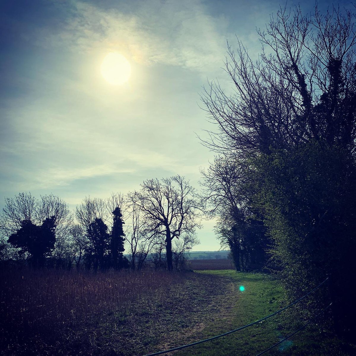 MarathonMum2's tweet photo. A beautiful morning run, not been motivated recently what with work #nhs but loved getting out again, not #londonmarathontraining but still headspace. The girls were happy to see me go, maybe they know it helps! #londonmarathon2020 #runningmotivation #ukrunchat #run #runningmum https://t.co/dkpy9Q8nCx