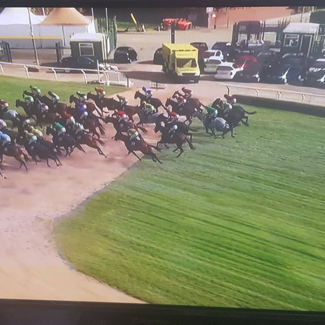 Firesapher's tweet photo. So due to the resident evil Rona we had virtual grand national this year what's your thoughts did you enjoy it ?

#virtual #grand #national #resident #evil #crazy #times #horses #race #livelife #firesaph https://t.co/viI70WfCGD