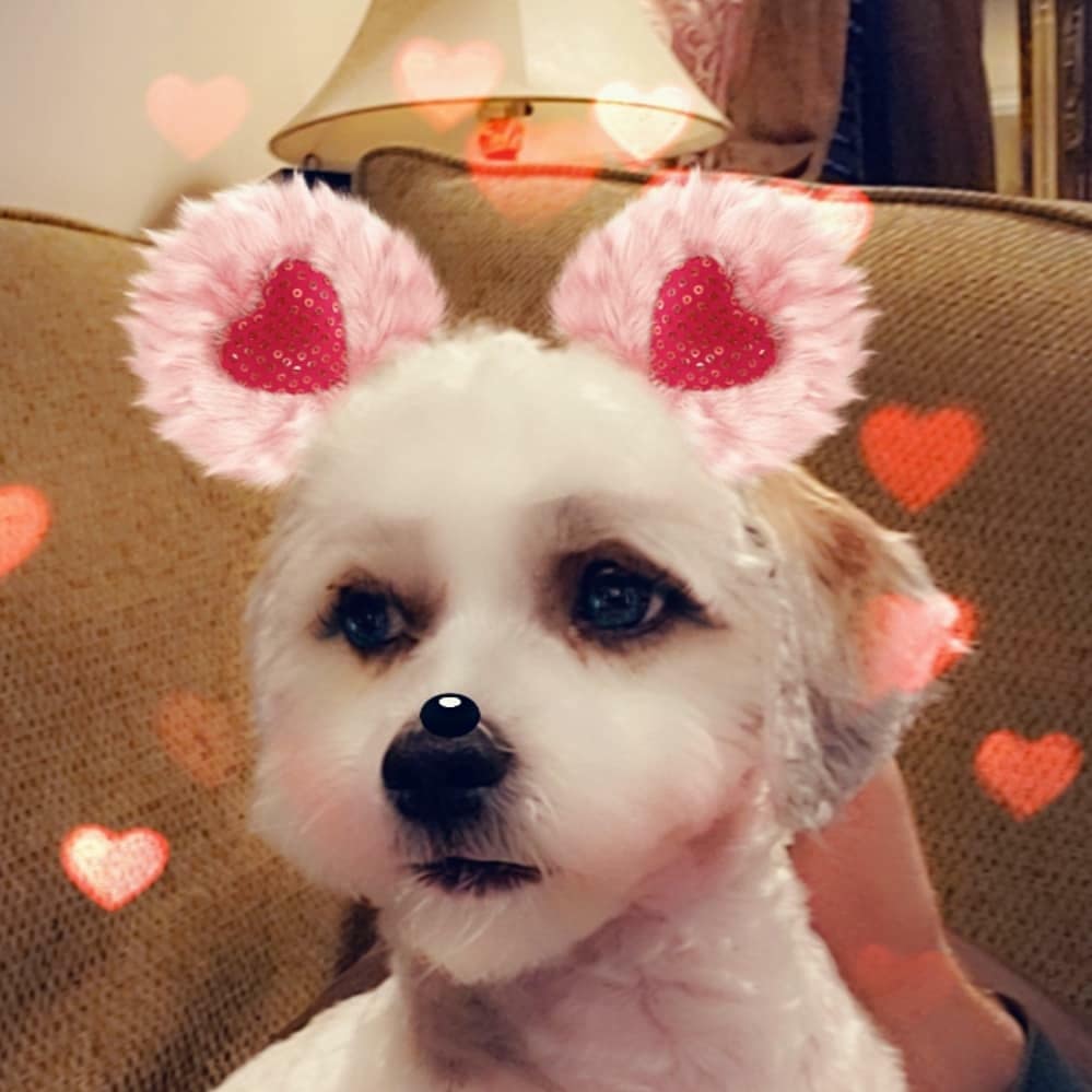 ๐ปโ. ๐พโ๐ธโ๐ผ๐ฝ๐๐๐๐ ๐ธโ๐ tweet media