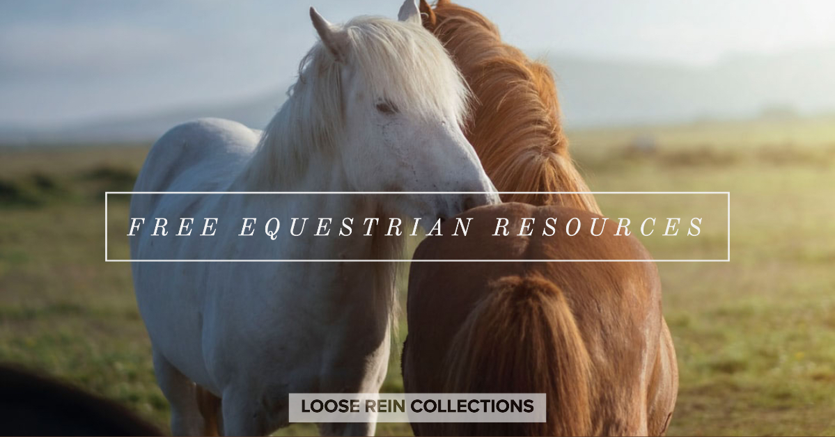 HeyLooseRein's tweet photo. What are you doing with your weekend? I've found some amazing online resources for #equestrians - all of them #free! Start a course or enter a virtual horse show. See it all here: https://t.co/JzxjbwpdSP https://t.co/W9VvutnE5A
