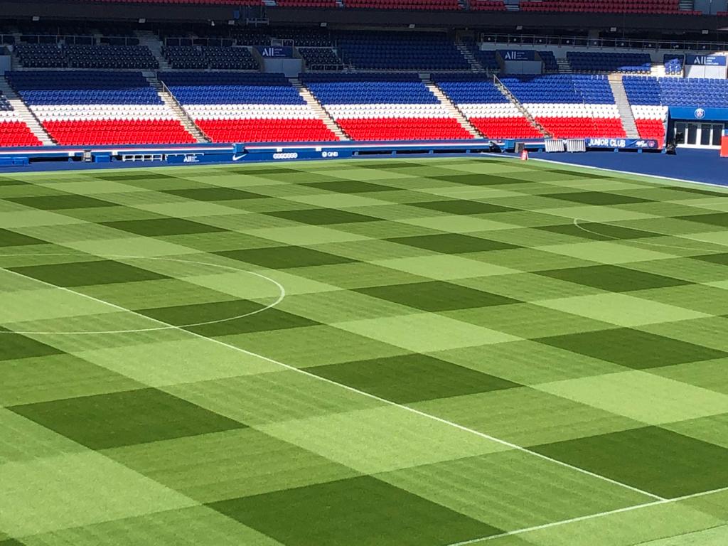 Dave_Turfix's tweet photo. Latest trim at le Parc🗼🌱✂️⚽️ https://t.co/GmA0VyTNSf