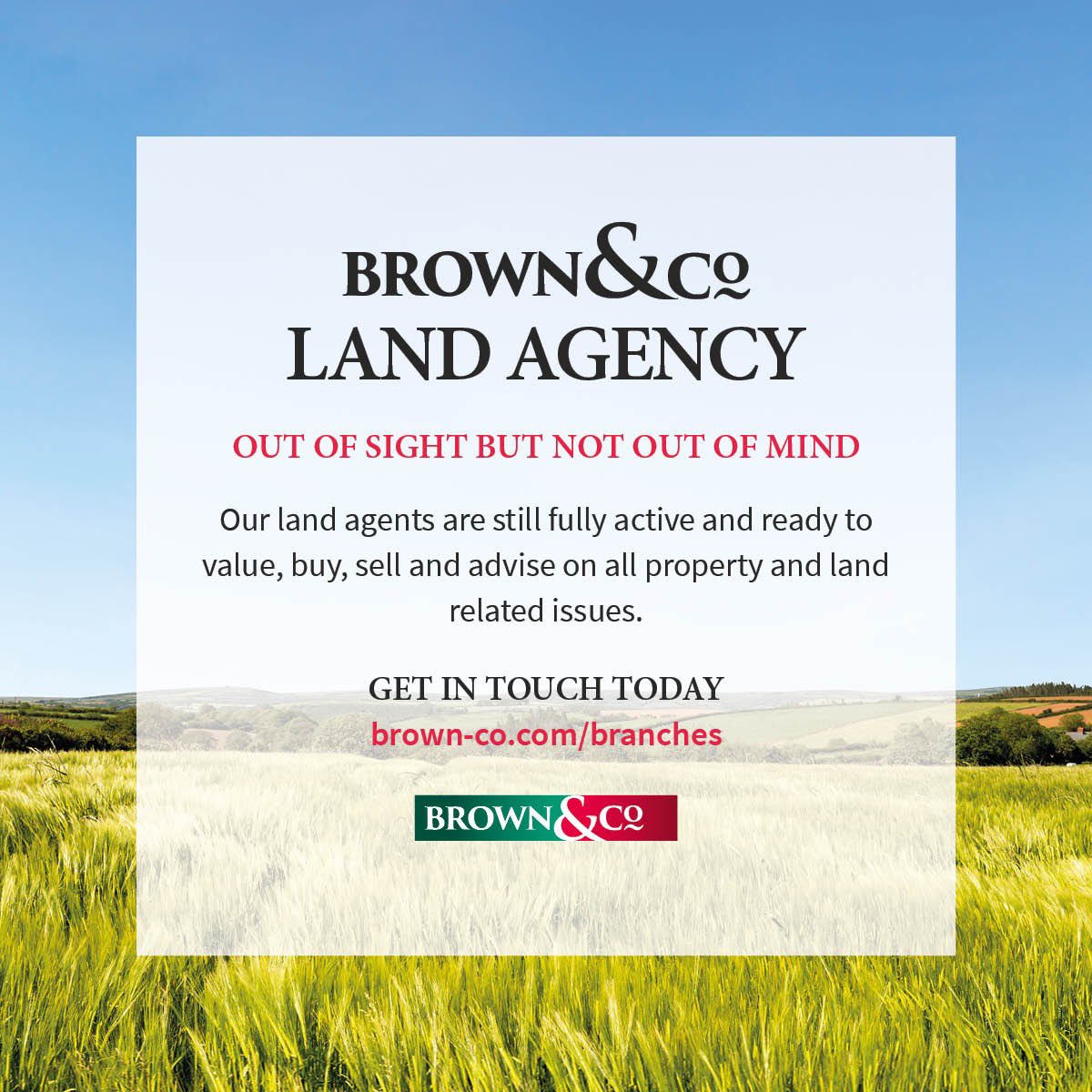 Brownandcorural's tweet photo. Out of sight but not out of mind. https://t.co/LvB7cHpkji