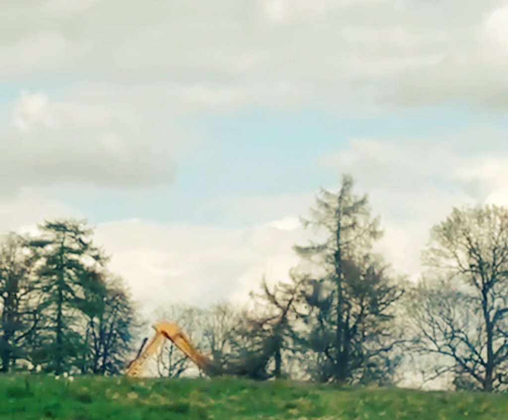 NetsNot's tweet photo. #HS2 felling #CrackleyWoods today in a pandemic Zero ecological mitigation #HS2Evidence No bat licences @HS2ltd https://t.co/VXALPRb6rL #WildlifeCrime @TonyJuniper @Naturalengland https://t.co/Xiik79kMQ3