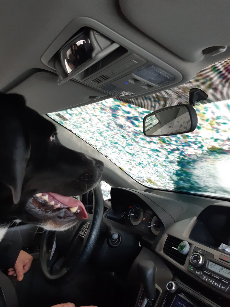 layla_greer's tweet photo. When you have to get out for a few minutes. Dog friendly too! #COVID2019 #SaturdayMorning #Canada #staysafe https://t.co/n4AJf97sIY