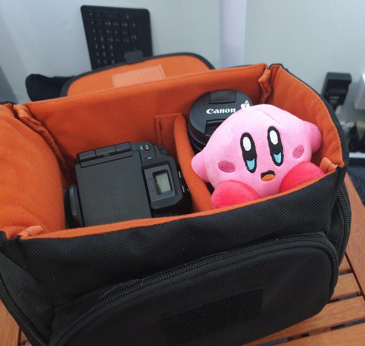 jack_sorrell's tweet photo. Always pack your kirb https://t.co/idESMFJ8wp