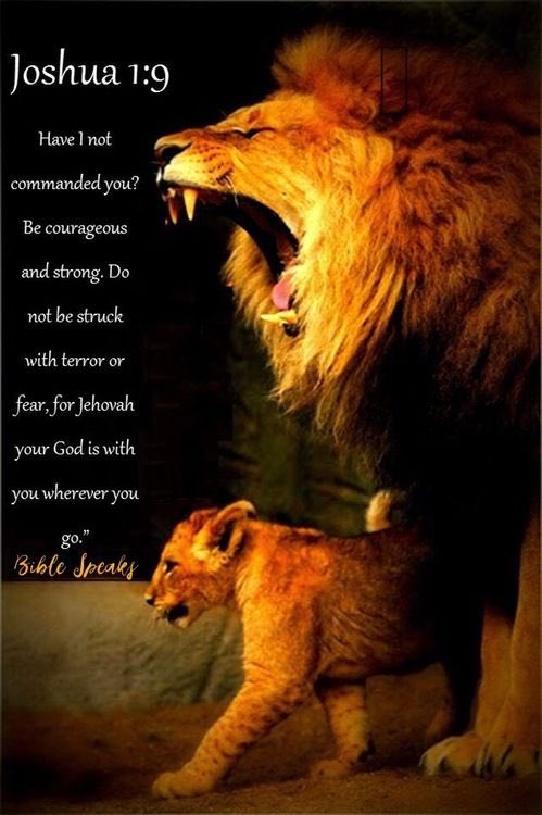 The Lord Loves Effort Quote Generalconference On Twitter: "“The Lord Loves Effort Because Effort Brings  Rewards That Can't Come Without It.” - #Presnelson | #Generalconference" /  Twitter