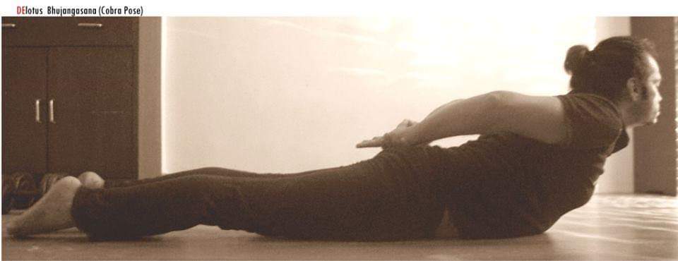 achary_aneeraj's tweet image. 🙏🎋🧘‍♂🧘‍♀🐾💪
eLearning Courses, Programs, Classes I Online Training 🧘‍♀️🧘‍♀️🌠🌞🌌🌿
Using innate Creativity as a Catalyst for the Creative Transformation &amp;amp; Personal Growth
 bit.ly/3dDa9Oi 

🌿 #stayhome #selfpractice #selfyoga #delotus