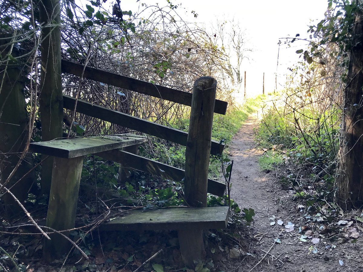 DawnCansfield's tweet photo. More #stileswithstyle action, today from #Hampshire Both are optional use models, and the one on the left is a rather exciting iron ladder-stile. https://t.co/OQLGwObTBW