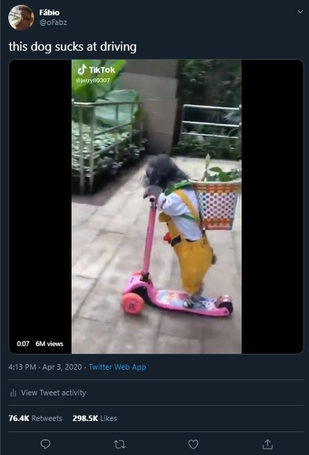 oFabz's tweet photo. Fuck you stupid dog https://t.co/RekJeTMuqM
